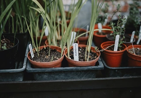 Gartenhelfer